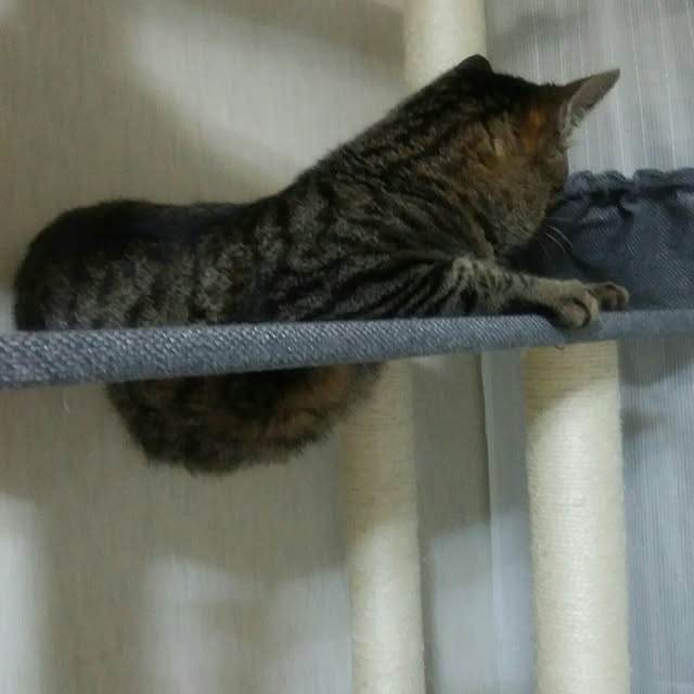 taleo07さんの実例写真