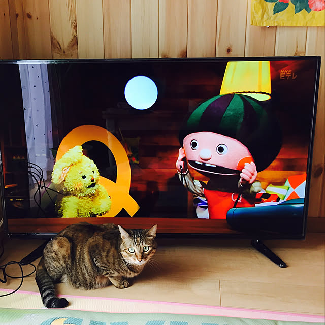 MASAさんの実例写真