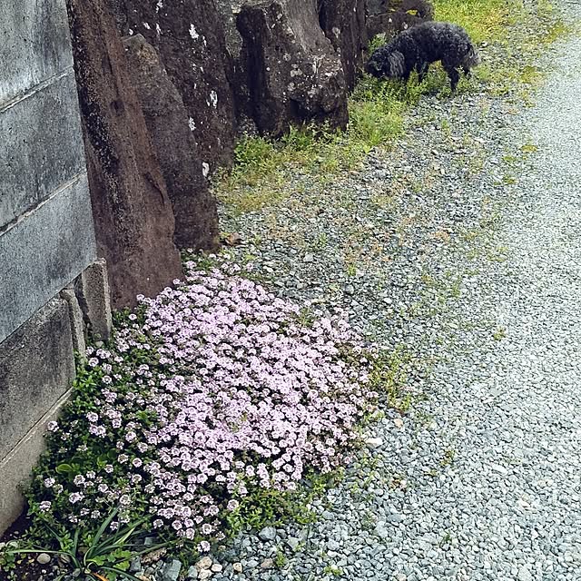 boston5757さんの部屋