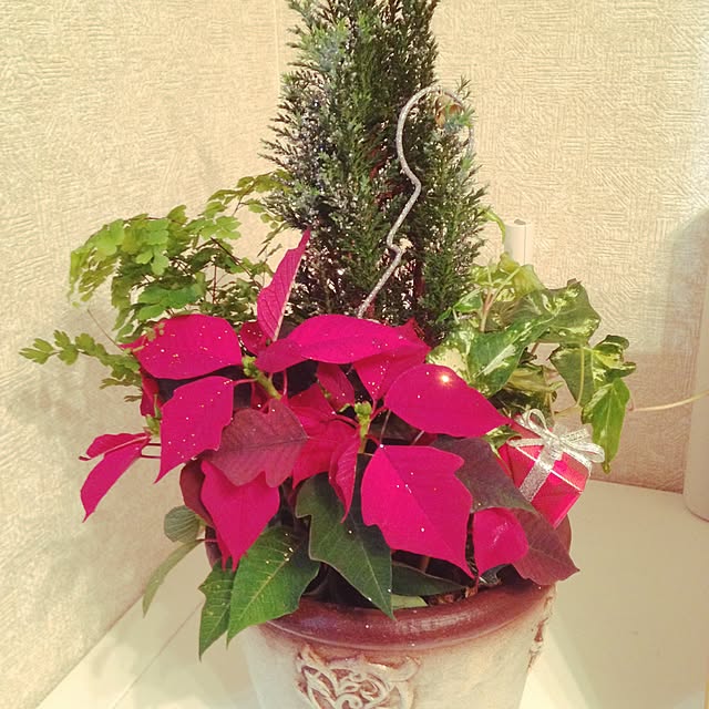 sushitabetai123さんの実例写真
