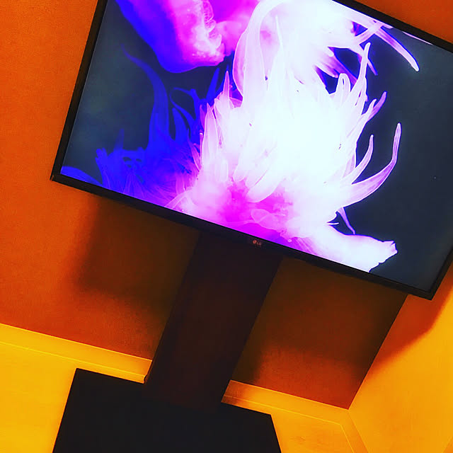 estrinidadjrさんの実例写真