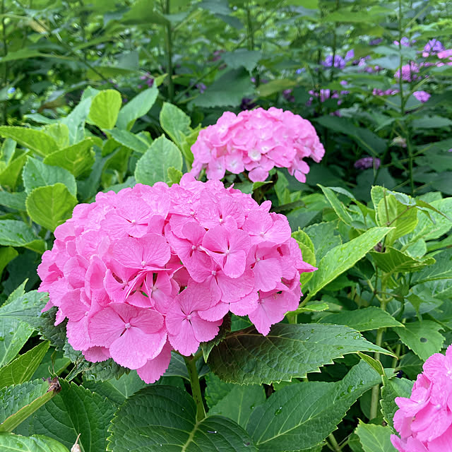 mommyさんの部屋