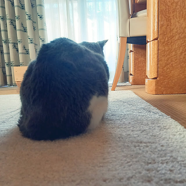 rhuさんの実例写真