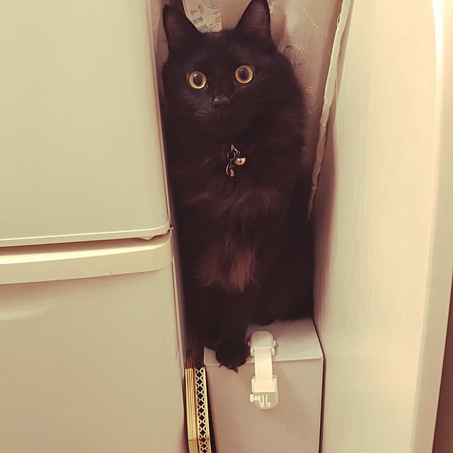 emikoさんの実例写真