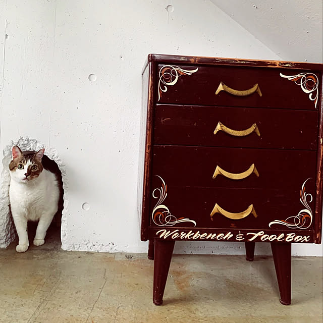 Lisaさんの実例写真