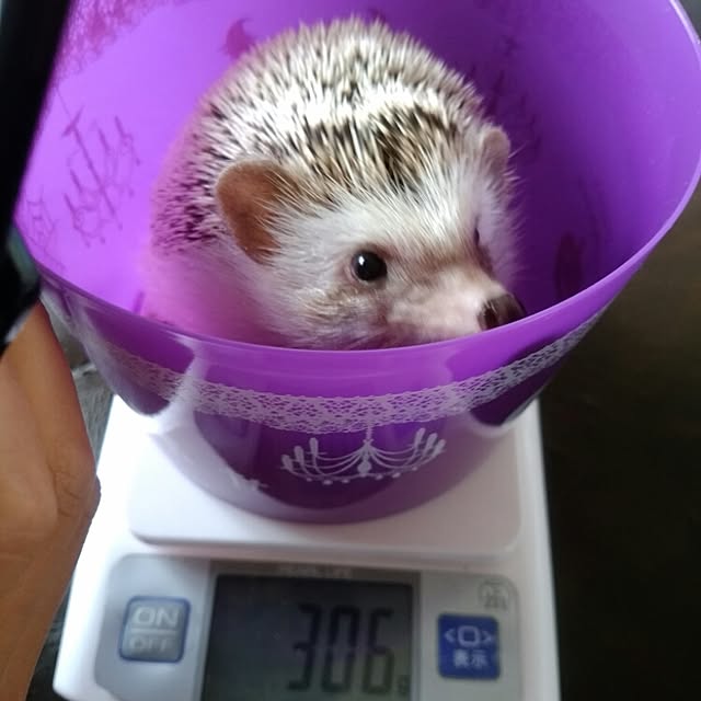 kuruさんの実例写真