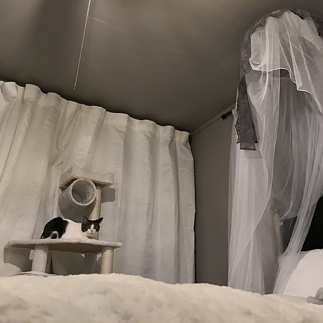 Shihoさんの実例写真