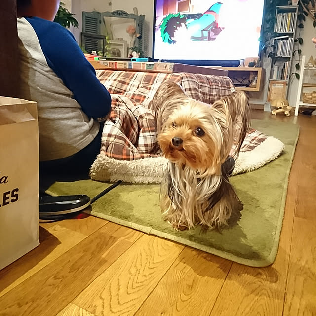 akiさんの実例写真