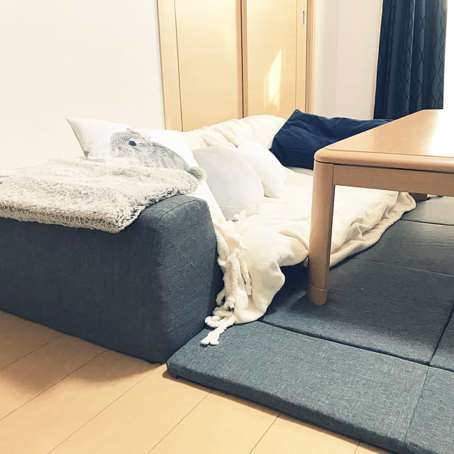 meshiさんの実例写真