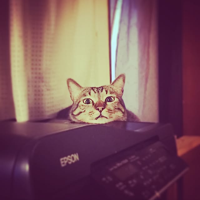 Malinさんの実例写真