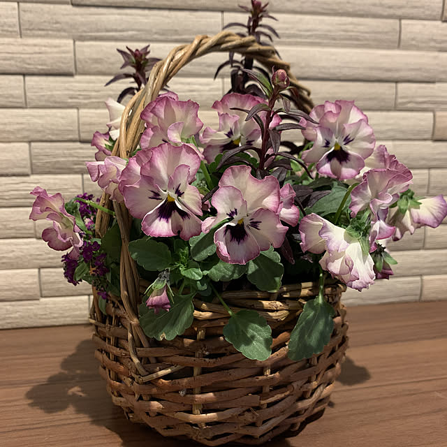 sato.mさんの実例写真