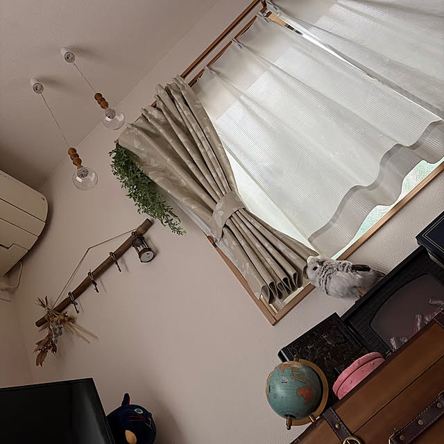 chiiさんの部屋