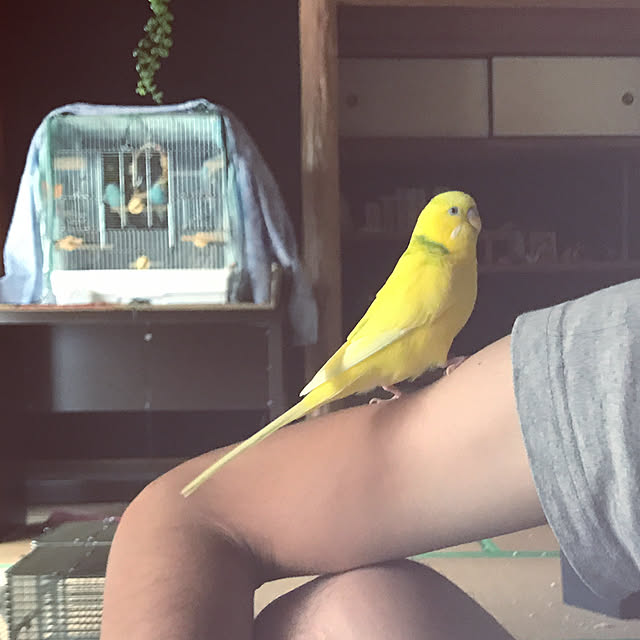 Hitomiさんの実例写真