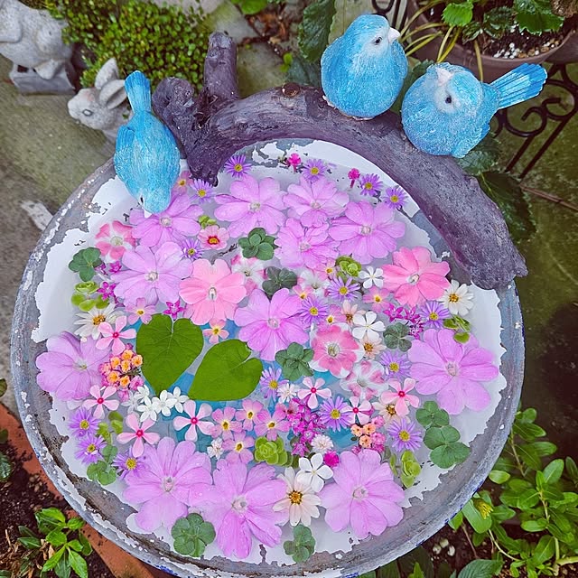 mocomocoさんの実例写真