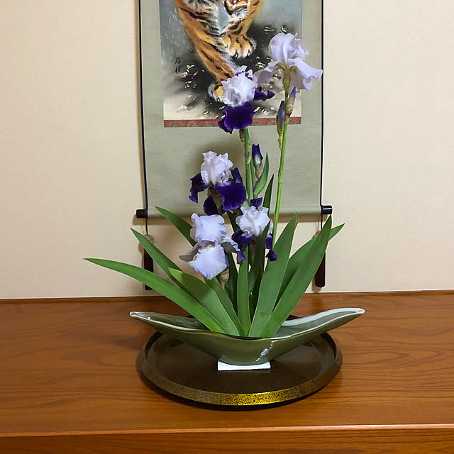 shirkさんの実例写真