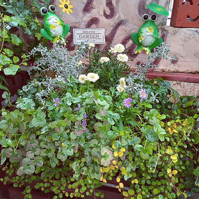 mocomocoさんの実例写真