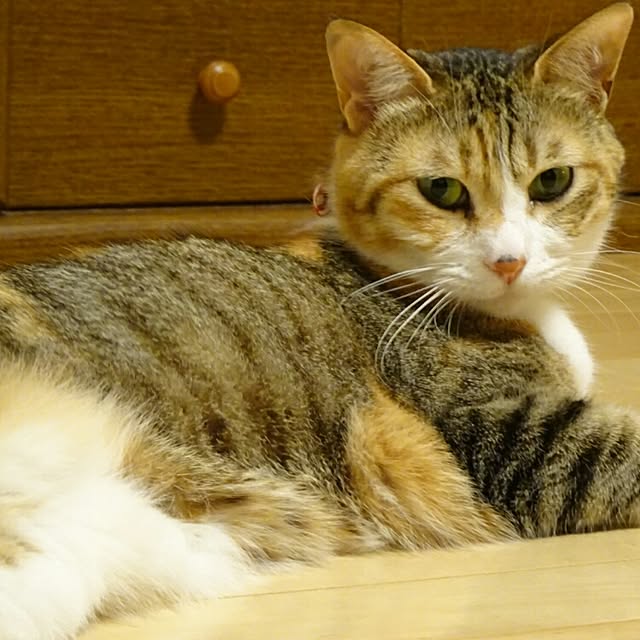 123sgnbさんの実例写真