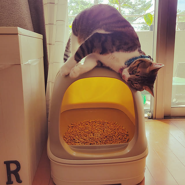 karinさんの実例写真