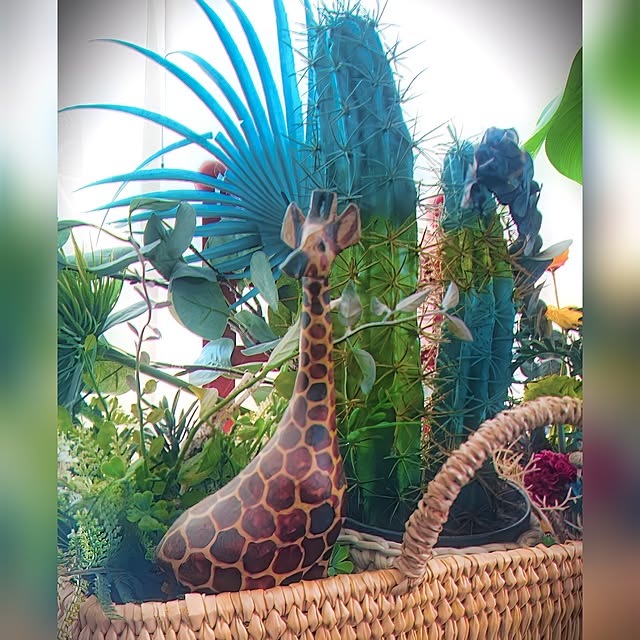 kyooonさんの実例写真