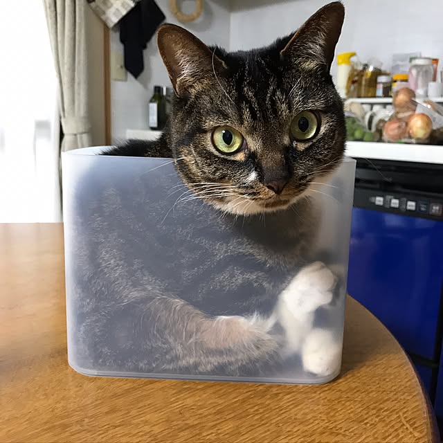 sakuraさんの実例写真