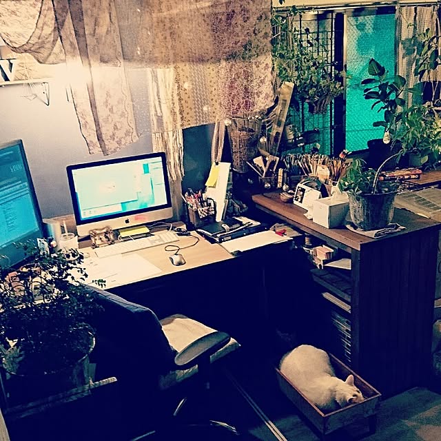 Kazukiさんの実例写真