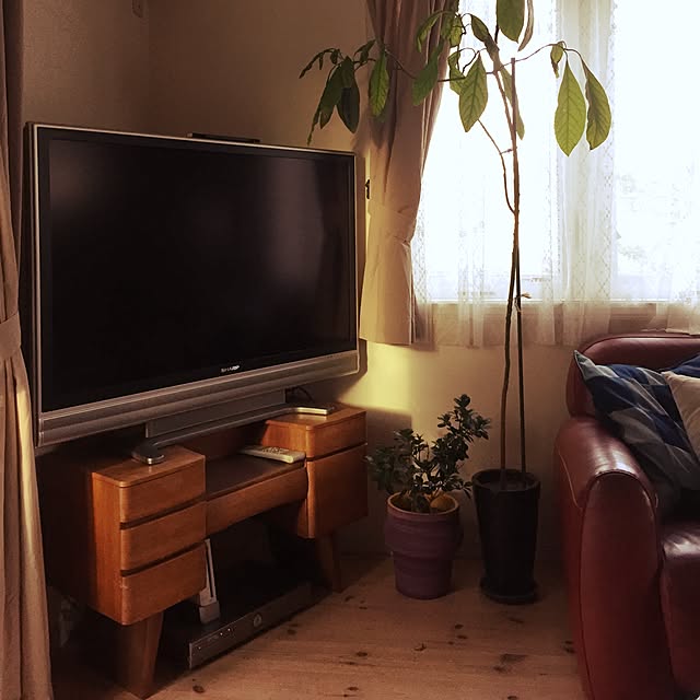 junさんの実例写真