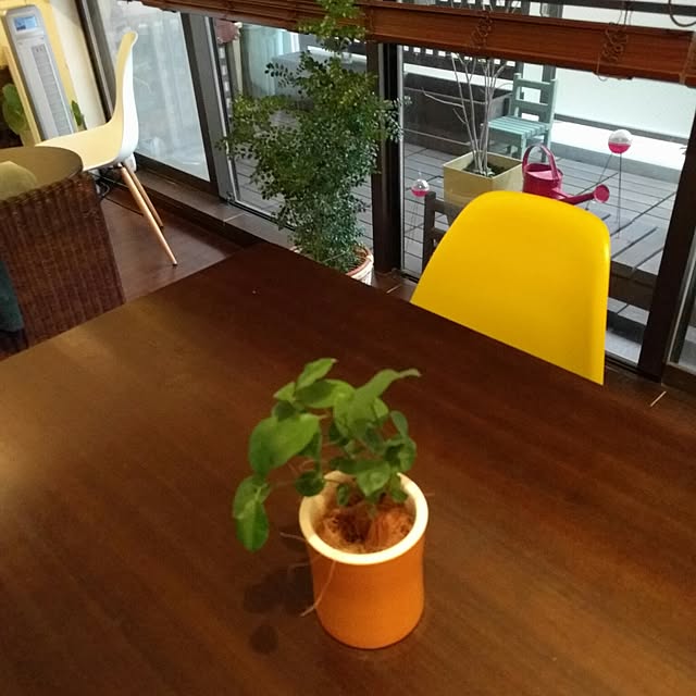 Cozy-m-Roomさんの実例写真
