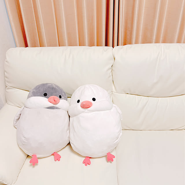 koitanさんの実例写真