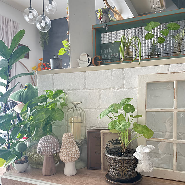 manatokyouyaharuさんの実例写真