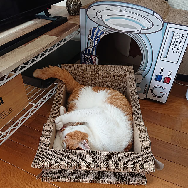 mugi77327732さんの実例写真