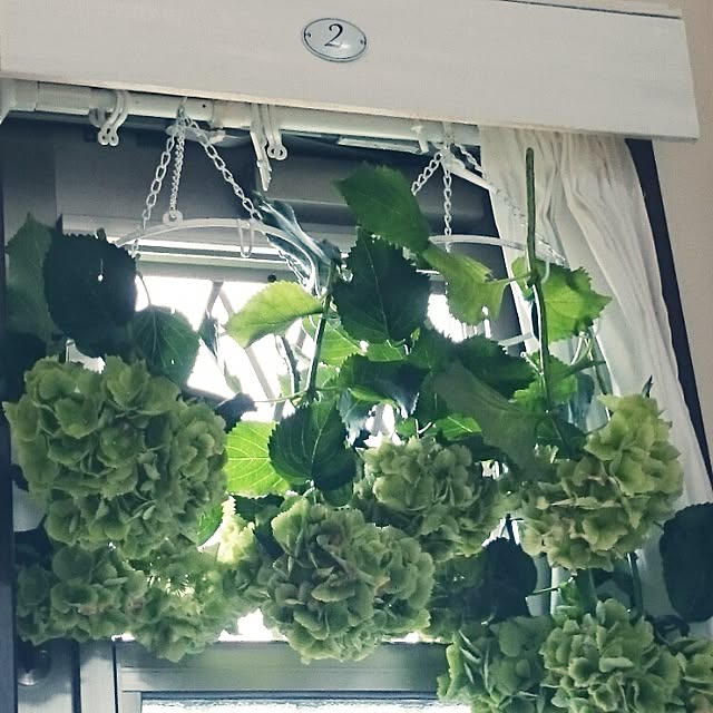M_house_officialさんの実例写真