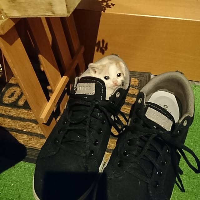 tomoさんの実例写真