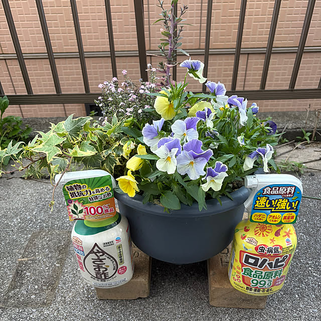 Yukikokoさんの実例写真