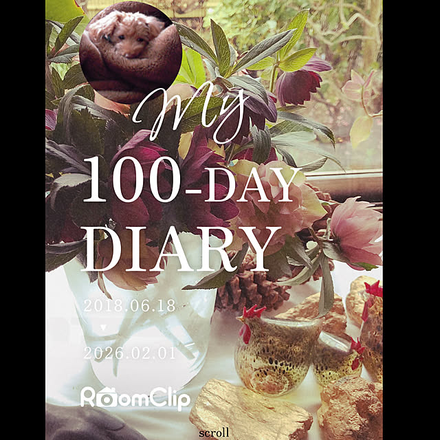 mamizaさんの部屋