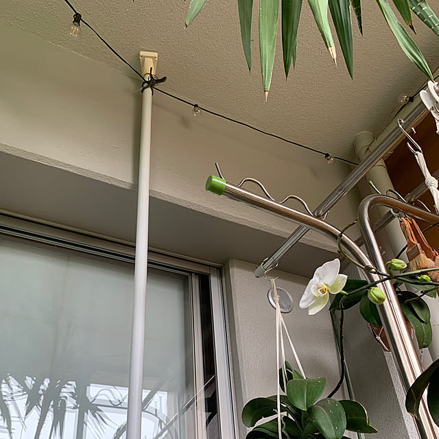 Aqettyさんの部屋