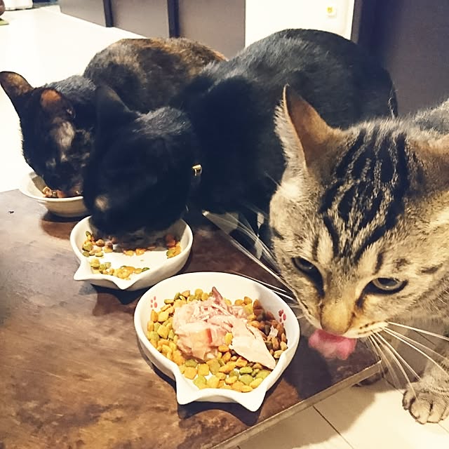 hinaさんの実例写真