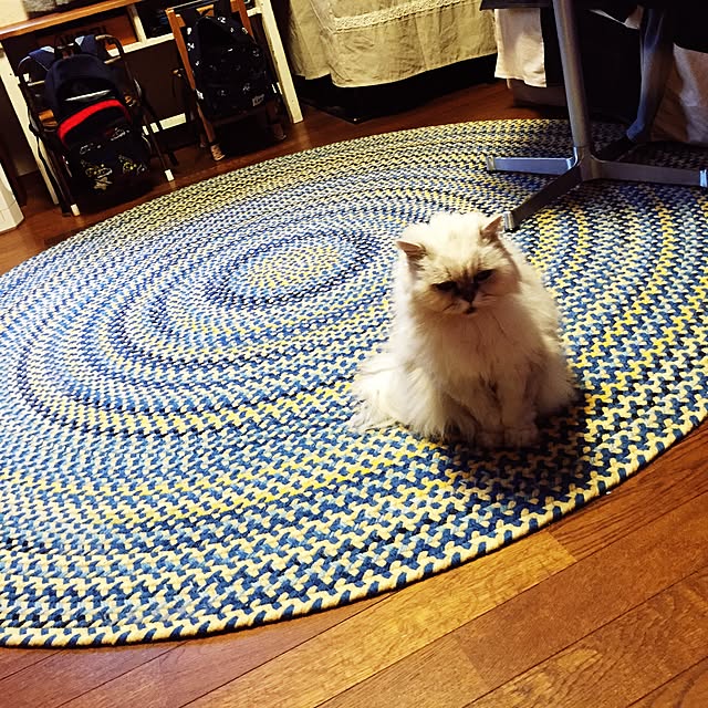 junさんの実例写真