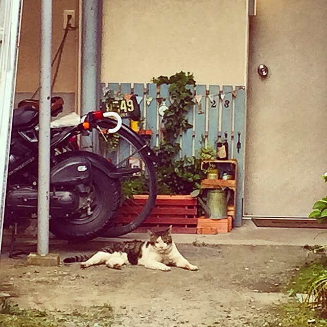 e2さんの実例写真