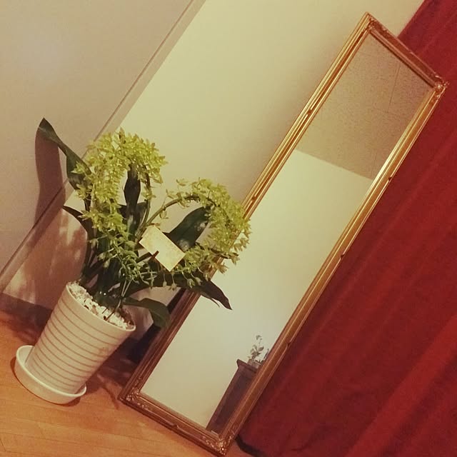 chi-coさんの実例写真