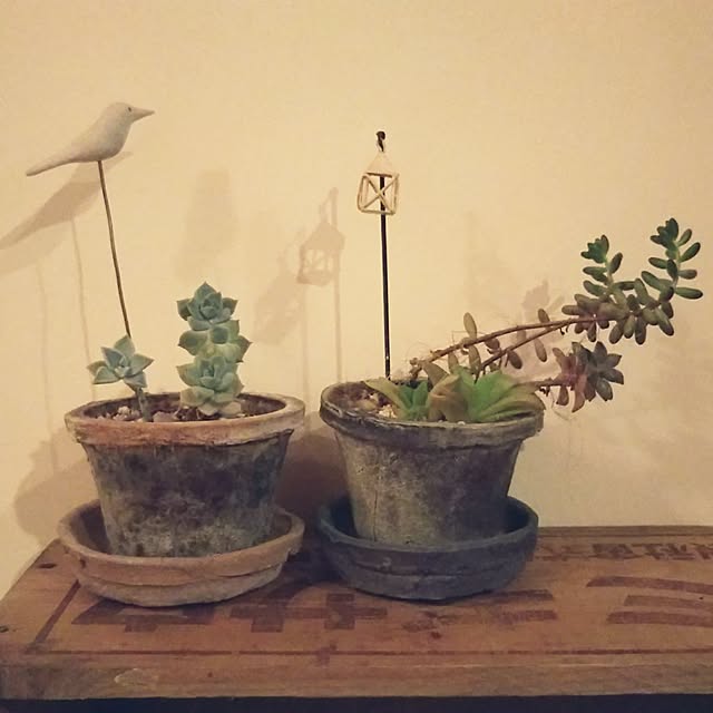 t.yumiさんの実例写真