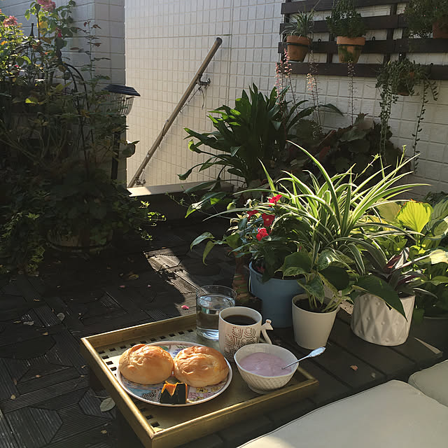 sasaさんの実例写真