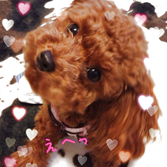 cocoさんの実例写真