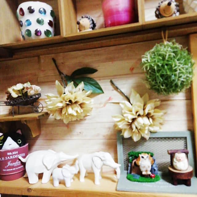 Tomopさんの実例写真