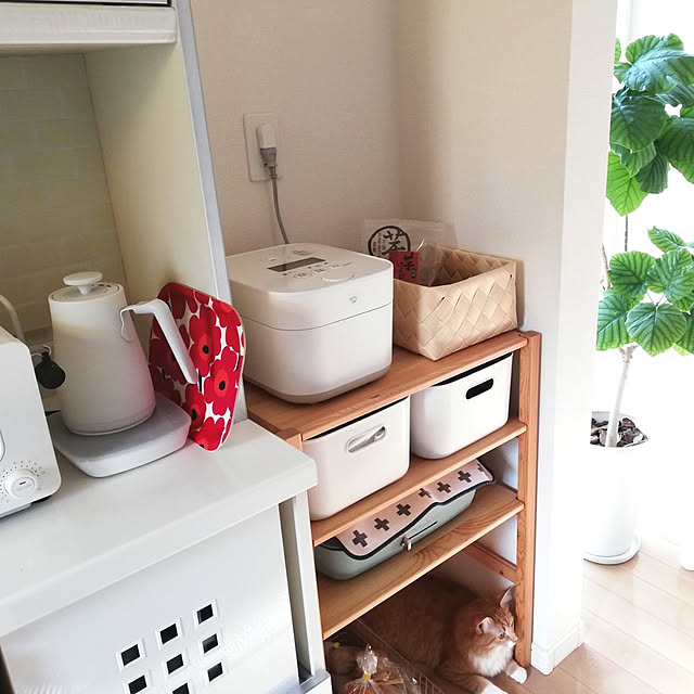 pinokoさんの実例写真