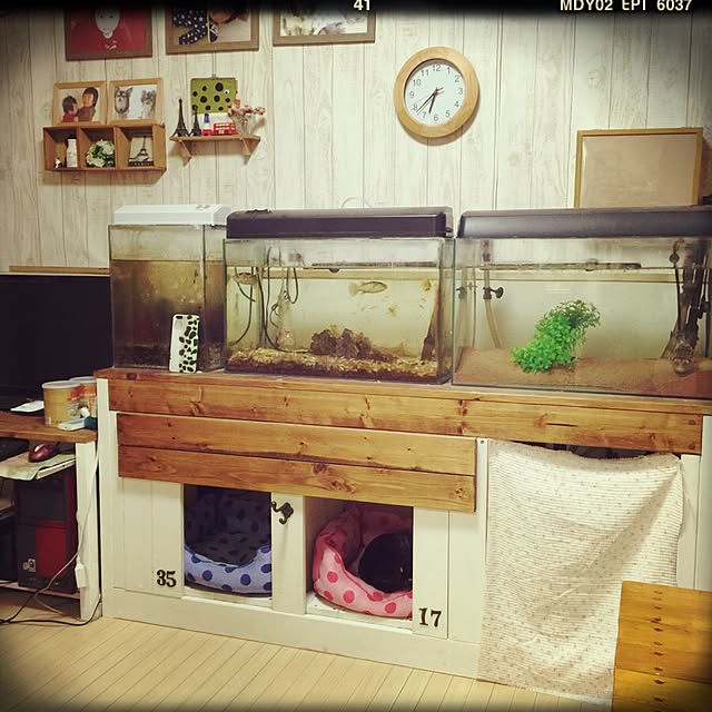 akiさんの実例写真