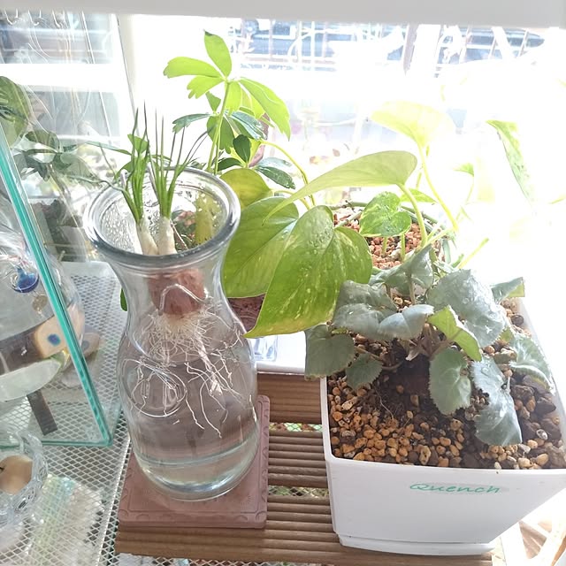 mi-saさんの部屋