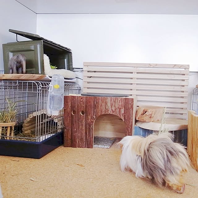 Atsushiさんの実例写真