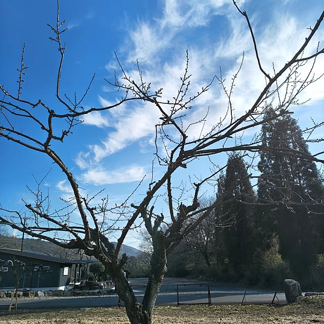 Rubiconさんの部屋