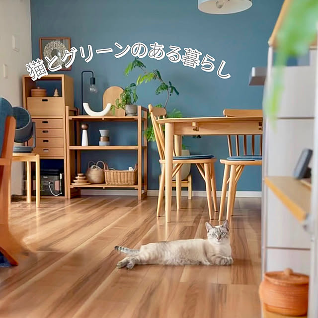 amさんの実例写真