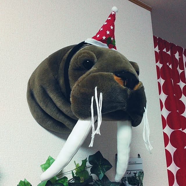 midorinoutuboさんの実例写真